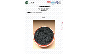 广东省微生物分析检测报告4